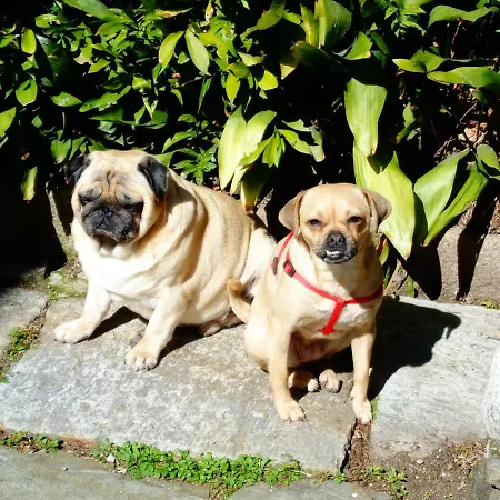 La Ca' Vegia Vakantiehuis Stresa