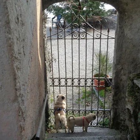 La Ca' Vegia Holiday home Stresa