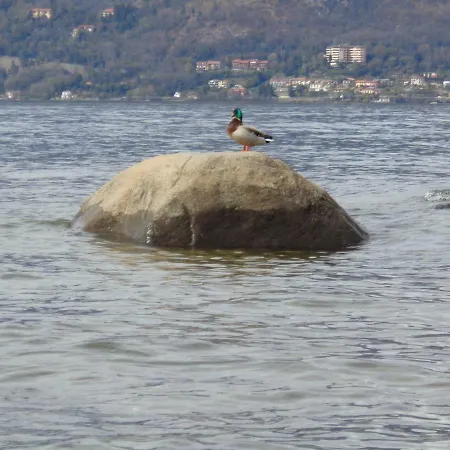 Holiday home La Ca' Vegia Stresa