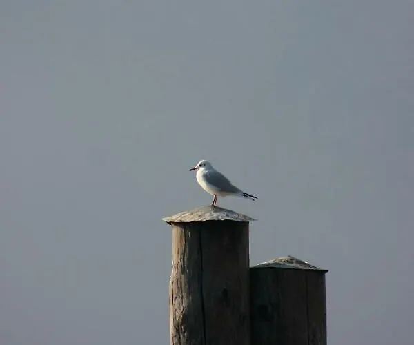 La Ca' Vegia Дом отдыха *