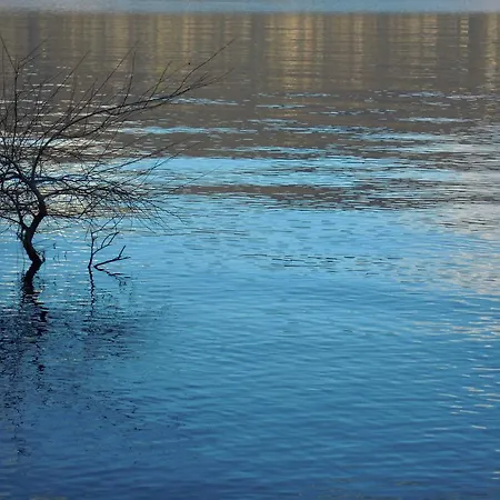 La Ca' Vegia 度假居 斯特雷萨