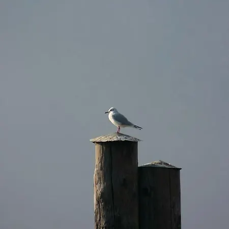 La Ca' Vegia 度假居 *